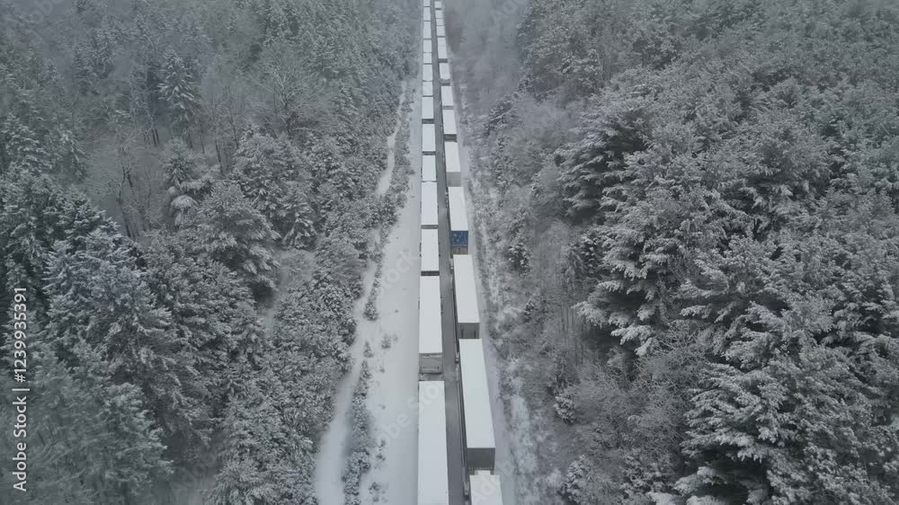 Freight train passing a freight train parked on a siding in a snow-covered forest landscapeTrain de fret passant à côté d'un train de fret garé sur une voie de garage dans un paysage de forêt enneigée