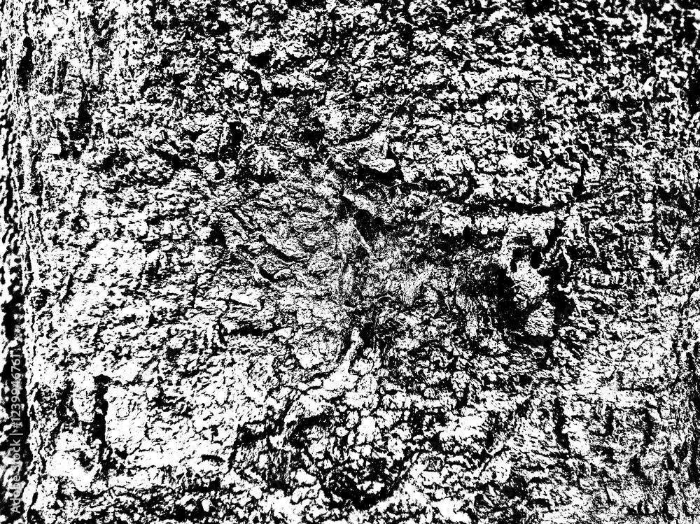 Close up texture of a soil surface on a transparent background, to add a grunge effect on your design Close up texture of a soil surface on a transparent background, to add a grunge effect on your design