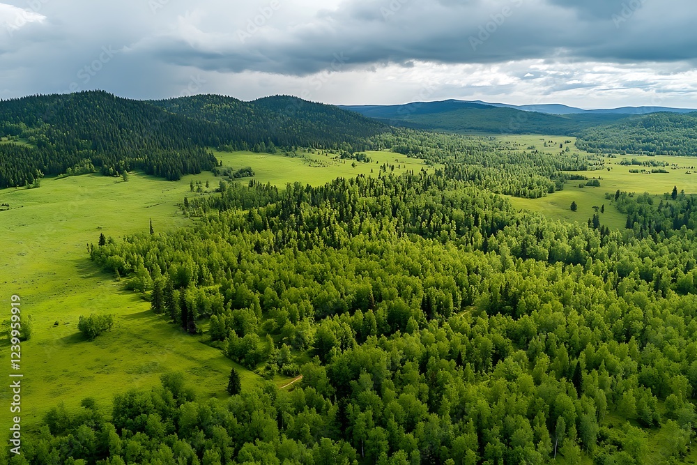 Naklejka premium Aerial view of the summer landscape in the Carpathian mountains
