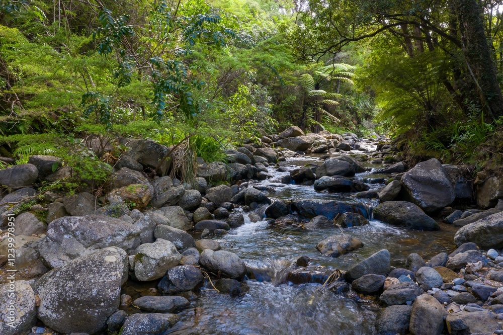 Tranquil mountain stream, cascading over smooth rocks, lush green forest surrounds. Nature's beauty. Wentworth Valley, Whangamata, Coromandel Peninsula, New Zealand Tranquil mountain stream, cascading over smooth rocks, lush green forest surrounds. Nature's beauty. Wentworth Valley, Whangamata, Coromandel Peninsula, New Zealand