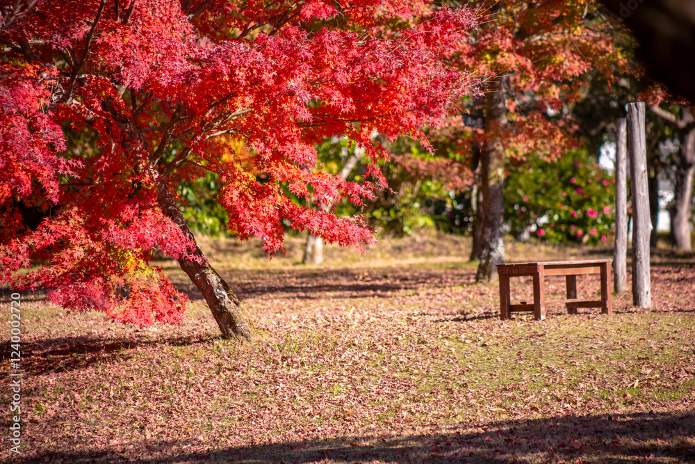 紅葉