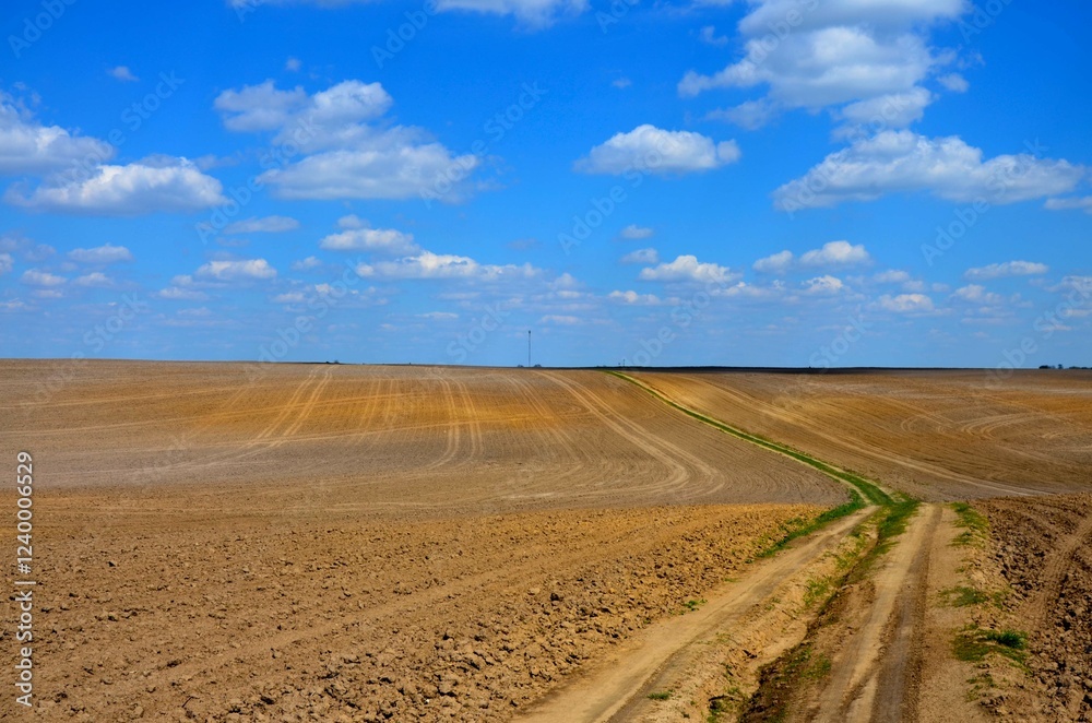 Naklejka premium Scenic view of agricultural field against clear sky