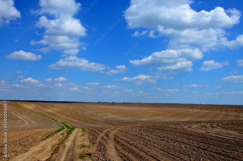 Scenic view of agricultural field against clear sky Scenic view of agricultural field against clear sky
