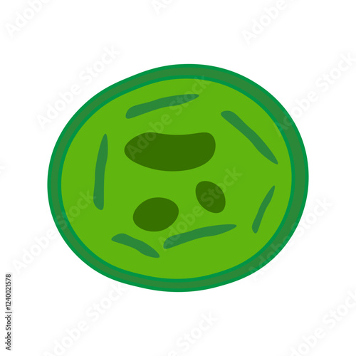 Microcystis