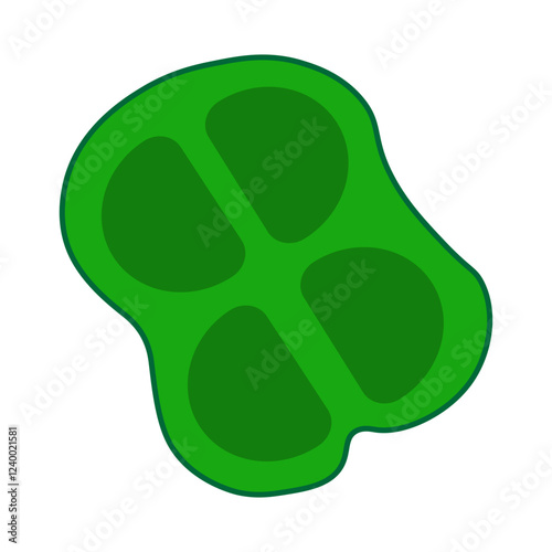 Microcystis