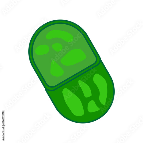 Synechococcus 