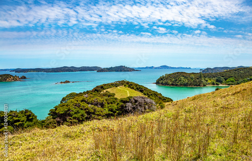 Otehei Bay, Urupukapuka Island, Bay of Islands, North Island, New Zealand, Oceania. photo