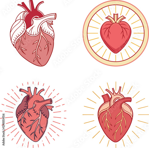 Realistic and Artistic Human Heart Vector Illustration Medical and Decorative Design