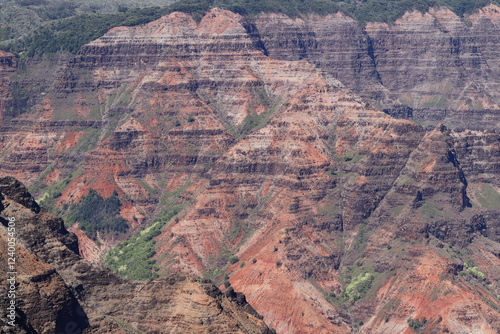 An Overlook of Waimea Canyon photo