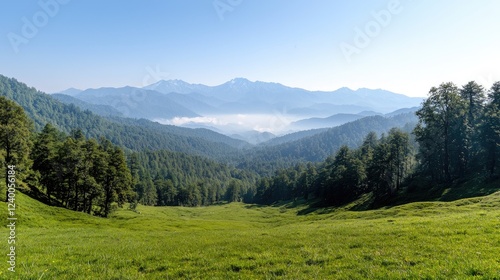 Mountain valley meadow sunrise landscape scenic view