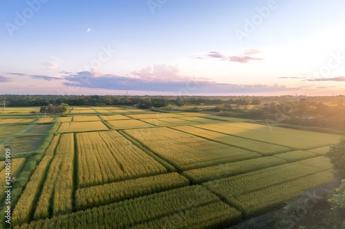 Patterned Landscapes.Aerial View of a Lush Field.
