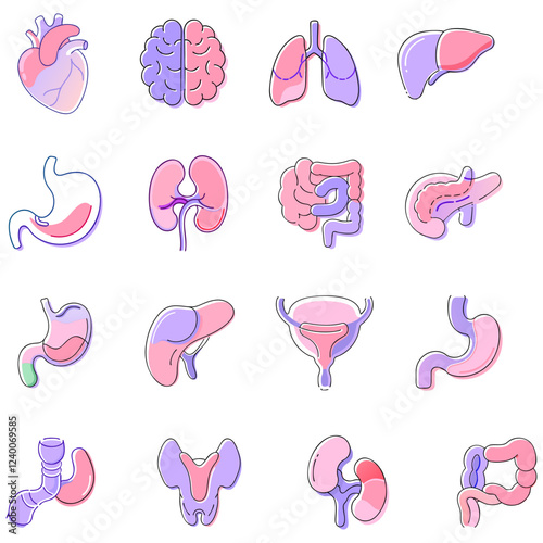 Human Organ Icons: A set of 16 colorful cartoon illustrations representing various human organs, including heart, brain, lungs, liver, stomach, kidneys, intestines, bladder, and more.