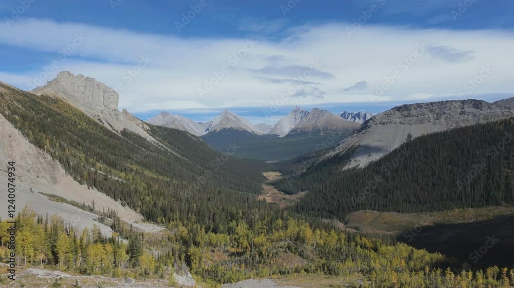 A hiking trail at Smutwood during the fall time, located in kananaskis country, Canada A hiking trail at Smutwood during the fall time, located in kananaskis country, Canada