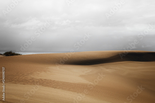 Golden sand hills and ocean in the background, Formby Bay, South Australia photo