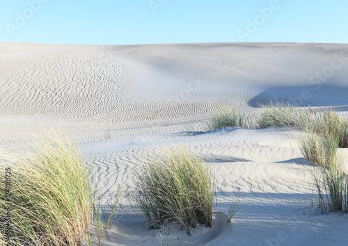 White sand dunes and grasses Formby Bay South Australia photo