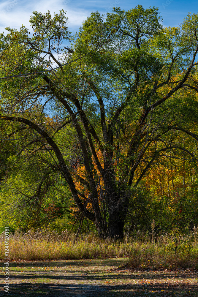 719-27 Autumn Starts 719-27 Autumn Starts