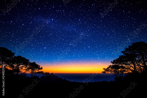 Night Sky Panorama: Starry Majesty over Silhouetted Trees and Sunset Horizon photo