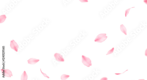 桜の花びら、透明背景