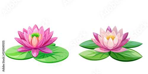 pink water lily