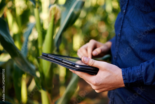 Fotografía Farm, hands and man in corn field with tablet for eco resources, growth and agro management