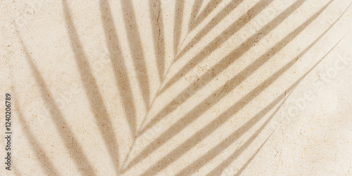 Fototapeta Naklejka Na Ścianę i Meble -  Natural palm leaf shadow on light beige sandy color background, banner with copyspace. Summer minimal concept, daylight in sunny day, top view plant shade, nature environment pattern, neutral tone