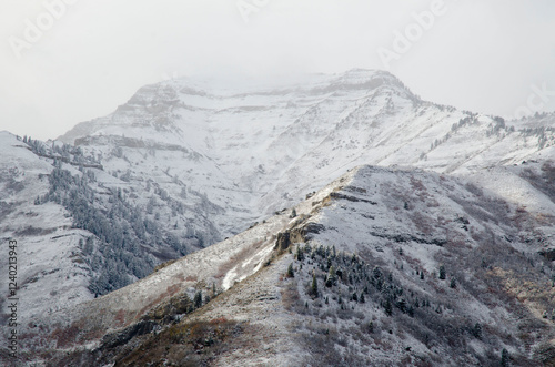 Wallpaper Mural snow covered mountain, Utah winter, mountain peaks in Winter, cold, fridged, frosty, fog, fog on mountain peak, fog on snowy mountain, misty, mist on a mouintain,  Torontodigital.ca
