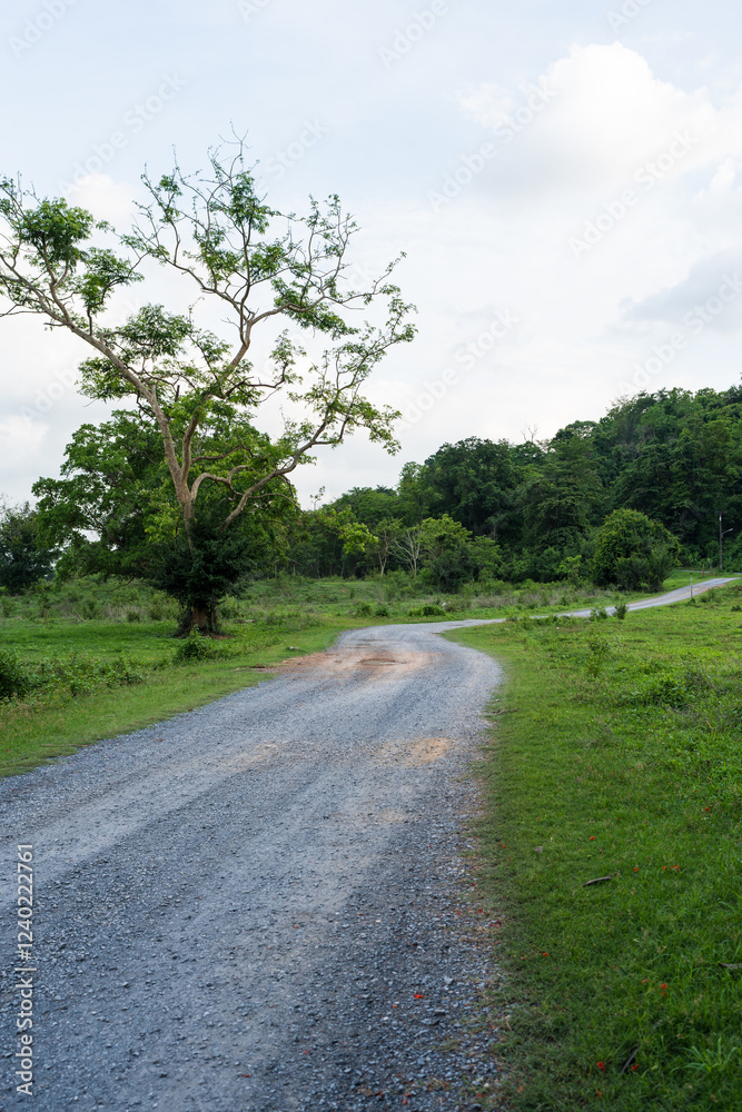 Dirt road in jungle to camping at Nakhon Nayok, Thailand Dirt road in jungle to camping at Nakhon Nayok, Thailand