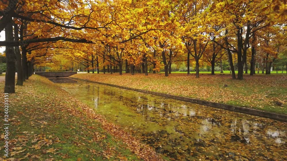 Autumn trees canal