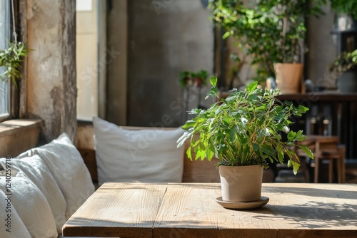 Bright indoor space featuring a potted plant on a wooden table in a cozy setting