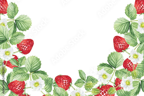 Watercolor frame of white flowers and strawberries. Beautiful frame with strawberry flowers, strawberries, leaves, hand drawn