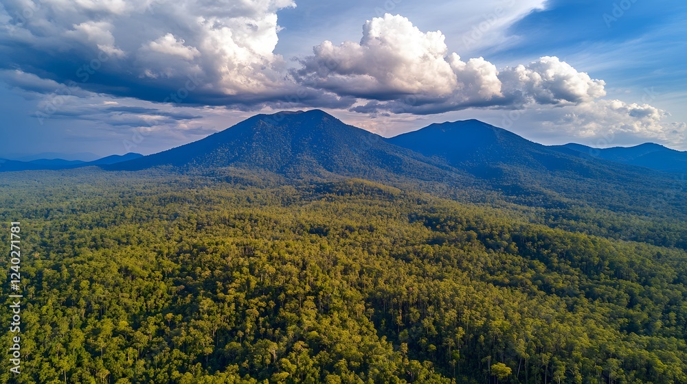 Fototapeta premium Aerial View Lush Green Forest Mountain Range Dramatic Cloudscape