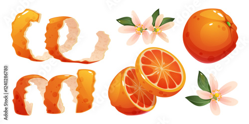 Orange peel twisted skin strips, bright juicy citrus slices, whole ripe fruit and delicate blossom with green leaves - illustration set on white background. Tangerine elements for food packaging.
