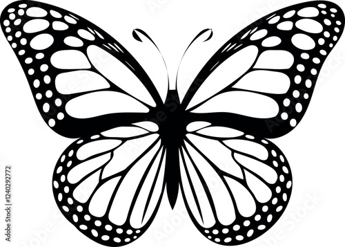 butterfly silhoutte vector illustration