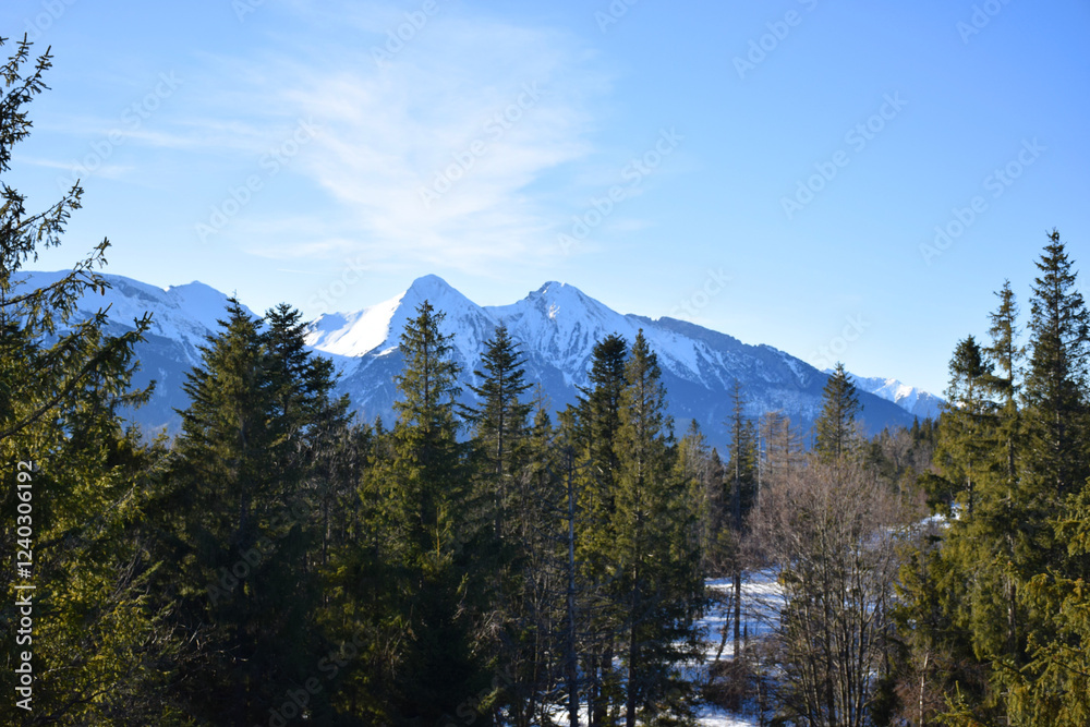 Fototapeta premium Majestic snow-covered high Tatras rise above the dense evergreen pine forest, breathtaking alpine scene under the clear blue sky. Wilderness and tranquility. Skiers, hikers, adventure lovers. 