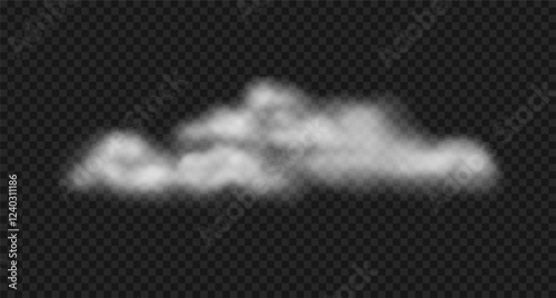 Vector realistic steam cloud, fog, water haze.