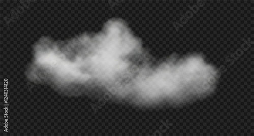 Vector realistic steam cloud, fog or smoke.