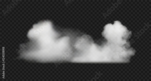 Realistic white steam cloud, smoke, fog or haze.