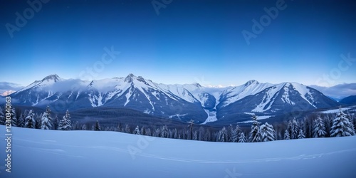 Fototapeta Naklejka Na Ścianę i Meble -  Snow-covered Tatras mountains under a starry winter night sky with falling stars in Poland, peaceful, stunning, snowy