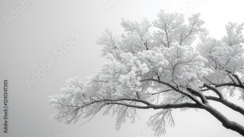 Wallpaper Mural A tree covered in snow with a gray sky in the background Torontodigital.ca