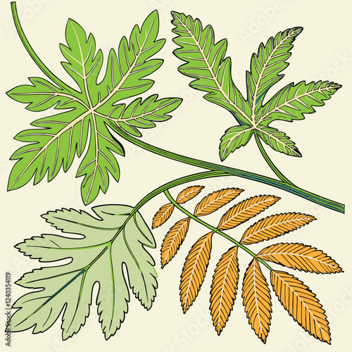 set of leaves