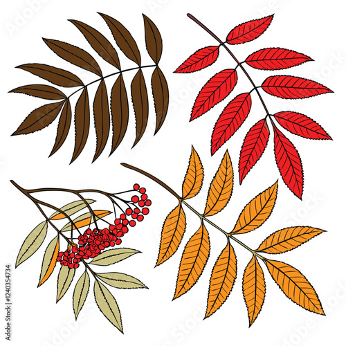 set of leaves