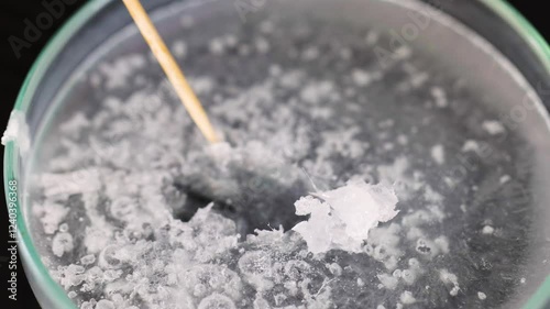 Sodium Acetate Crystallization Experiment photo