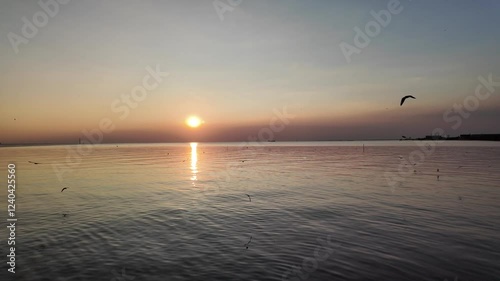 Footage slow motion 4K. Flock of seagulls flying on seaside on winter evening at Bang Pu Recreation Center, Thailand. Popular coastal natural attractions
