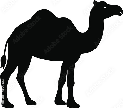 camel vector design 