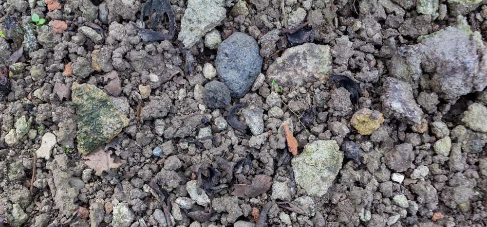 Rough Grainy Soil Texture with Small Gravel Stones Rough Grainy Soil Texture with Small Gravel Stones
