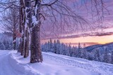 Tatry: Polana Kalatówki w mroźny, zimowy poranek przed wschodem słońca