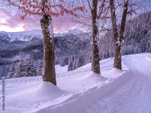 Tatry: Polana Kalatówki w mroźny, zimowy poranek przed wschodem słońca