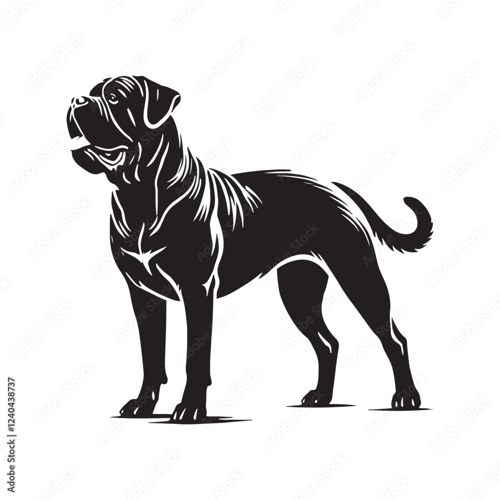 Obraz premium Cane Corso Dog Silhouette - Vector of Cane Corso Dog - Illustration of Cane Corso dog.