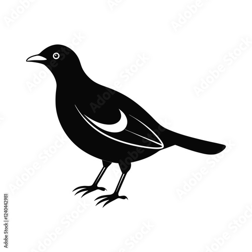 a myna bird  vector illustration