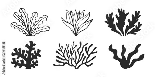 Hand-Drawn Edible Algae Illustration – Collection of Aquatic Plants